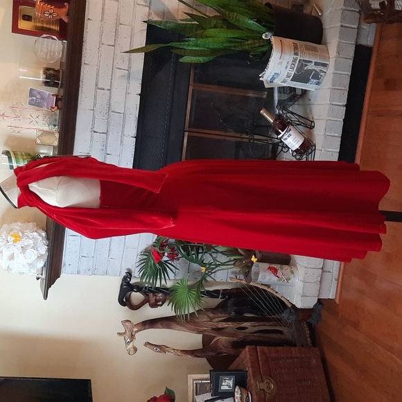 Black Halo Velvet Dress - Picture 3 of 6